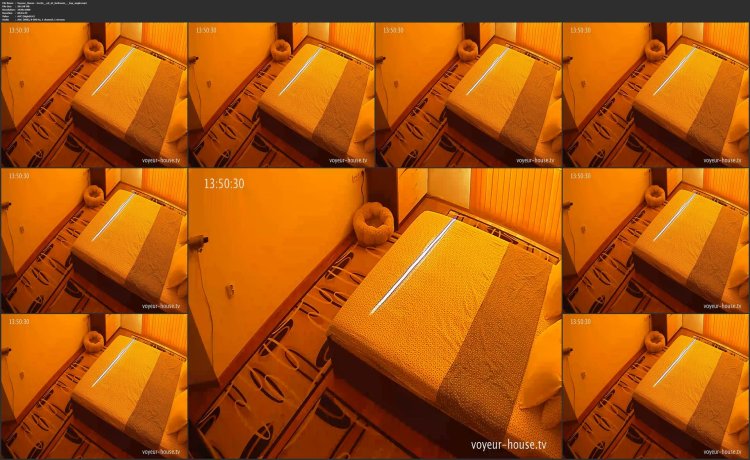 Voyeur house