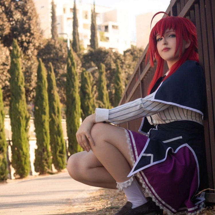 Rias gremory high school dxd