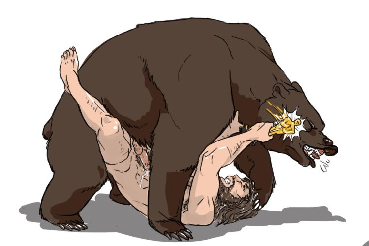 Bear DND
