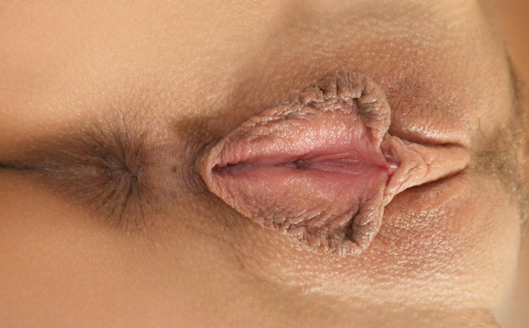 Large labia close -up