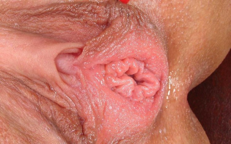 Close -up vagina