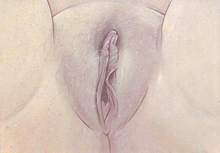 Vagina Picture