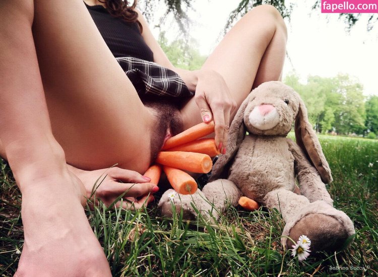 Soft toy Bunny with carrots