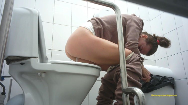 Hidden camera toilet