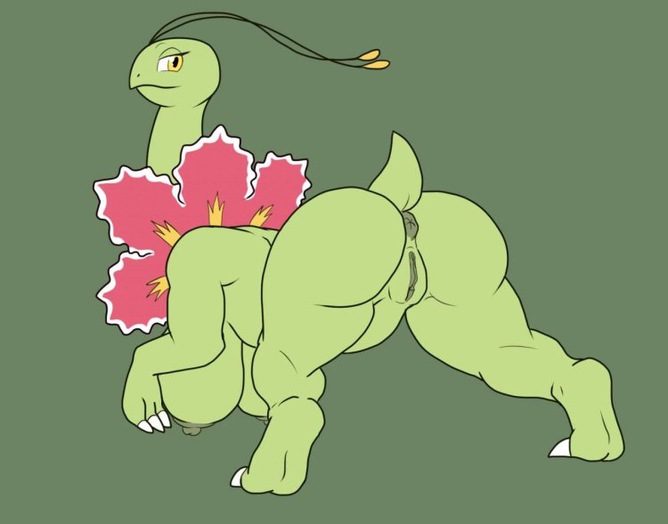 Pokemon Meganium