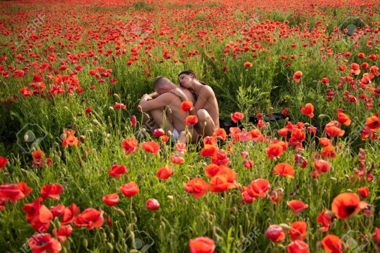 Photoshoot in a poppy field