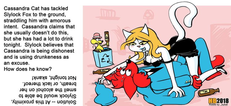 Cat Felix and Cartun Kat