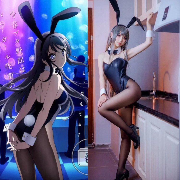 Bunny Girl Senpai Costume