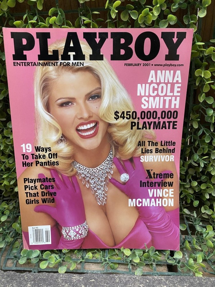 Anna Nicole Smith Plaiboy