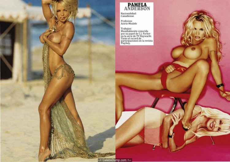 Pamella Anderson Naked