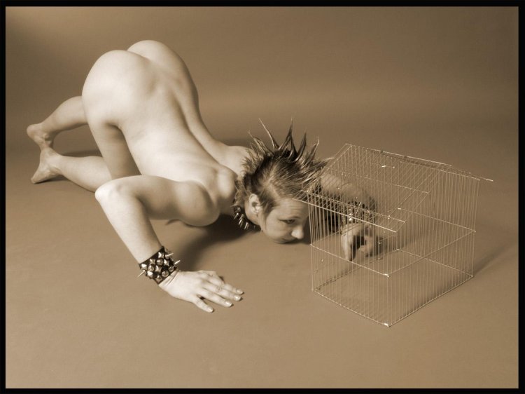 Animal cage