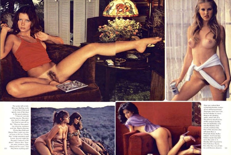 Christie Brinkley Nude in playboy