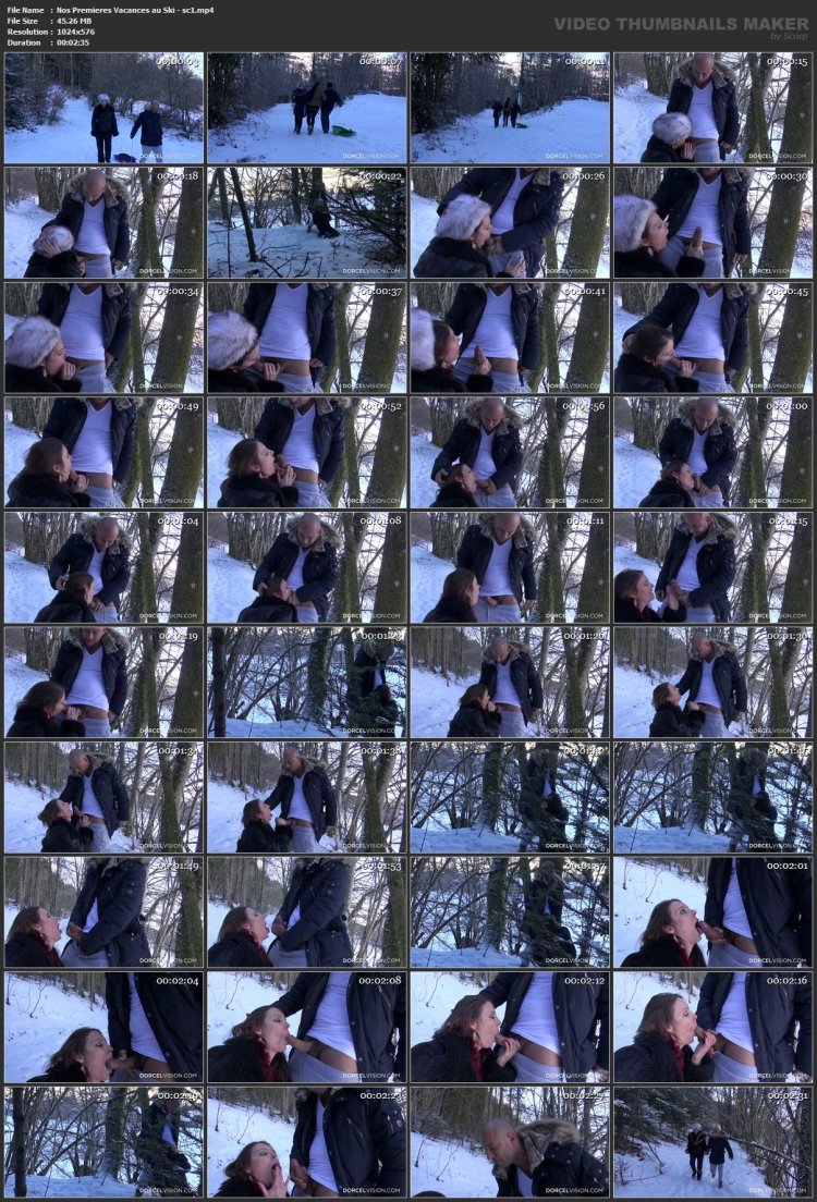 In the winter forest