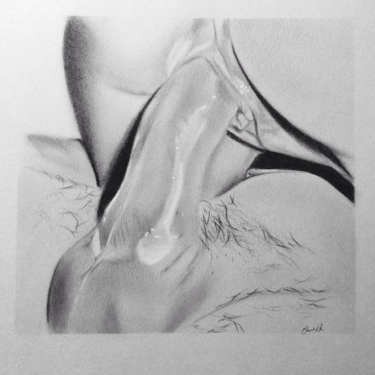 Drawings with a pencil of cunnilingus
