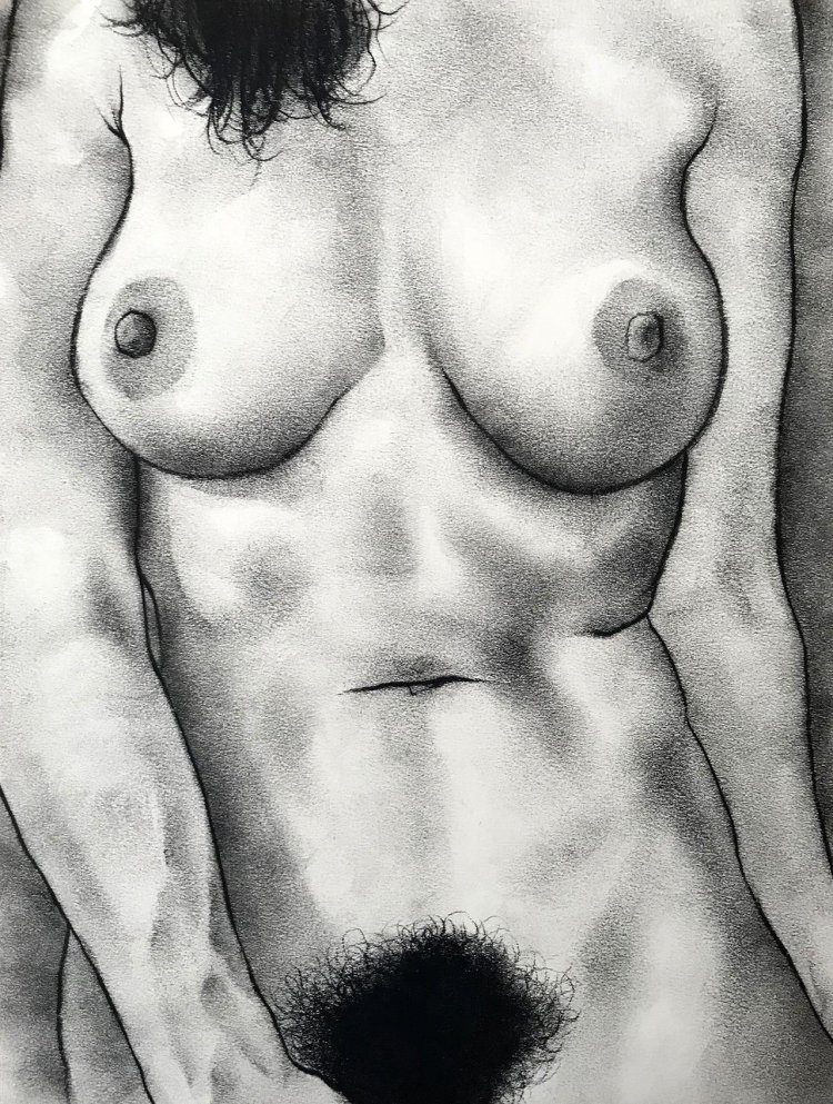 Feminine pubis in painting