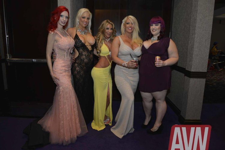 Avn Awards ceremony