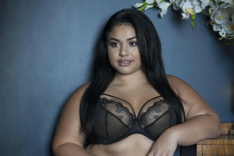 Sofia Adams Plus Size
