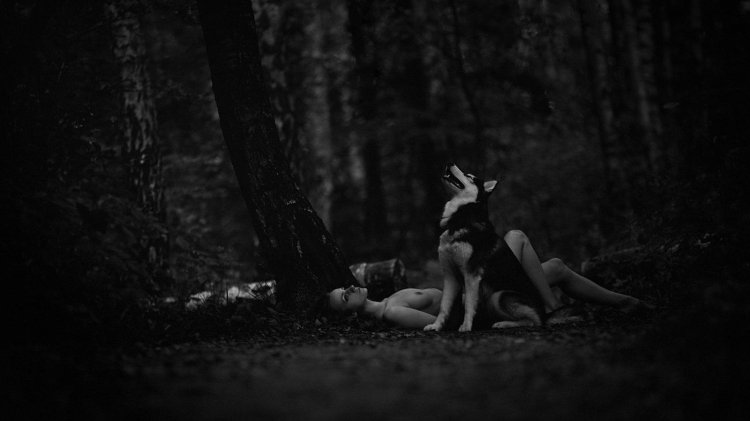 Photoshoot Nude in a night forest