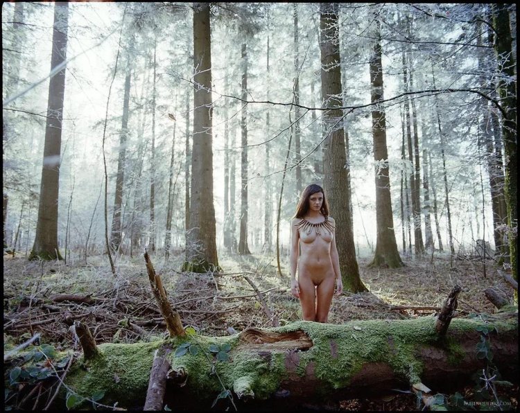 Girl in a pine forest nude