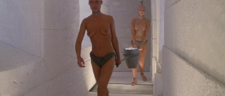 Elena Metelkina Niyu