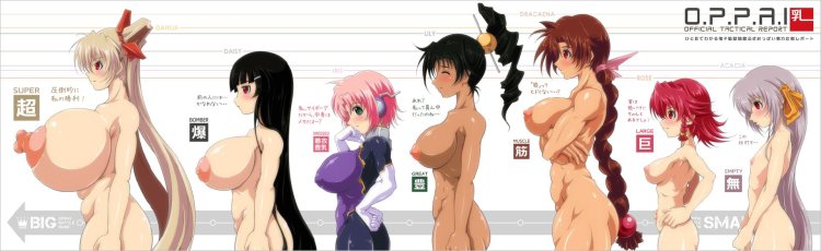 Hentai comparison of boobs