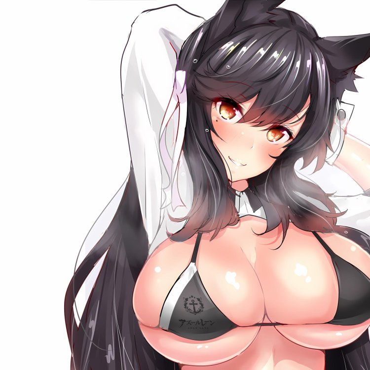 Taiho Azur Lane Tits