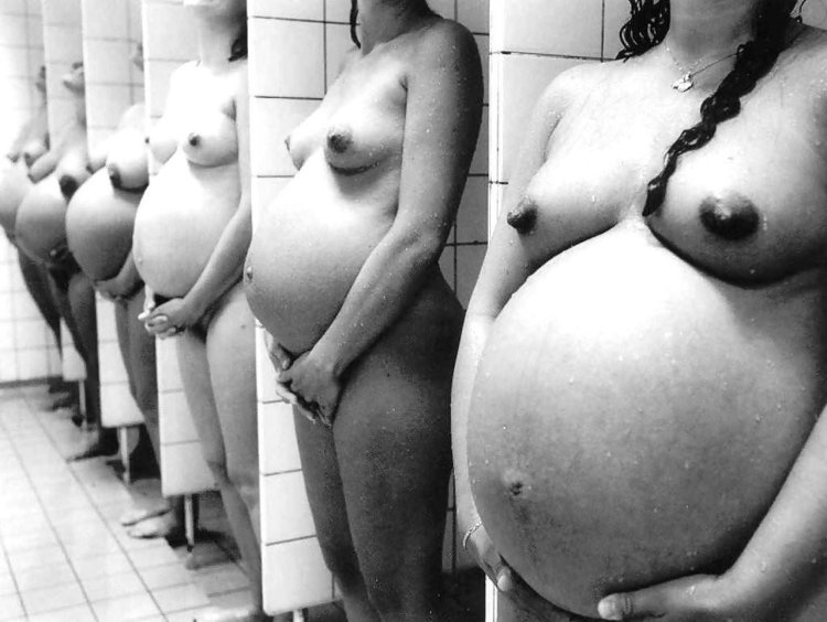 A lot of naked pregnant women