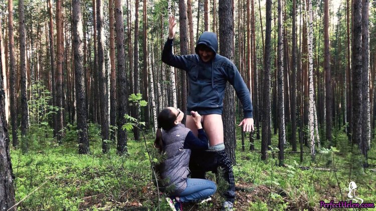 Cancer in the forest