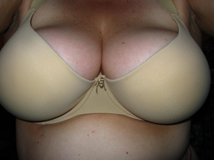 Breasts in a bra
