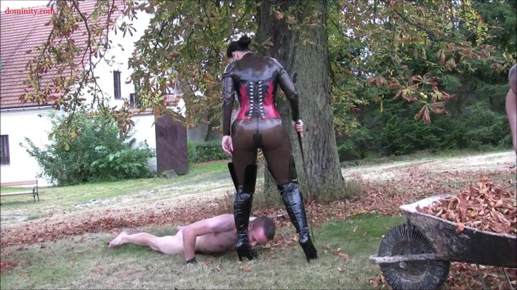 Alexandra corneille latex