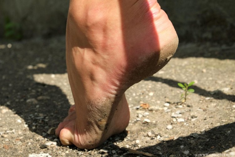 Knights are cracking on the legs