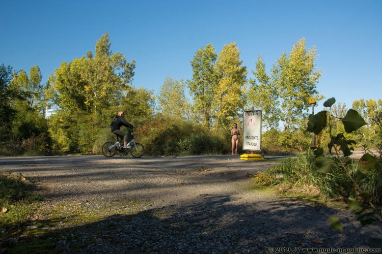 Order ordinary Populus tremula