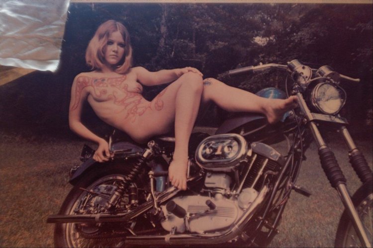 Harley davidson chopper