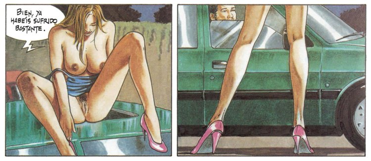 Comics for adults with a plot