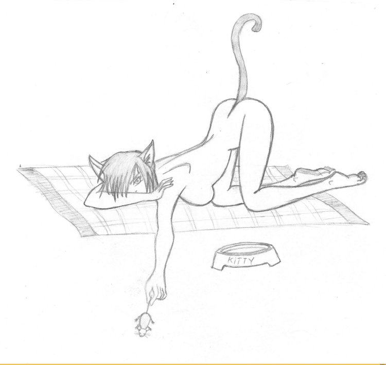 Coloring anime of cats