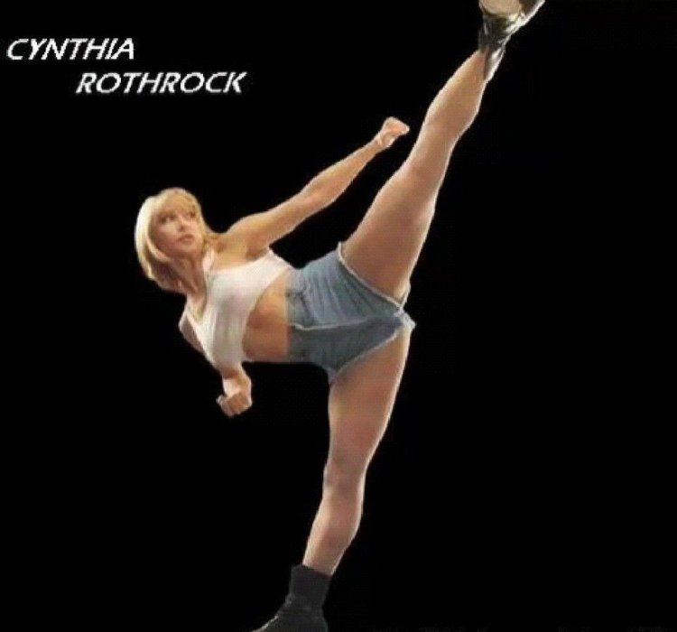 Cynthia Ann Christine Rotrok