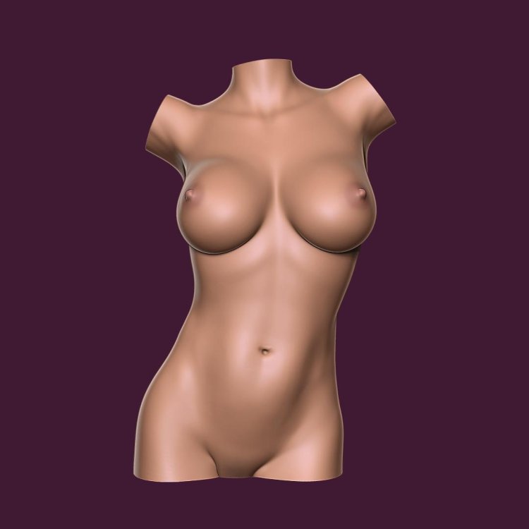 Female torso