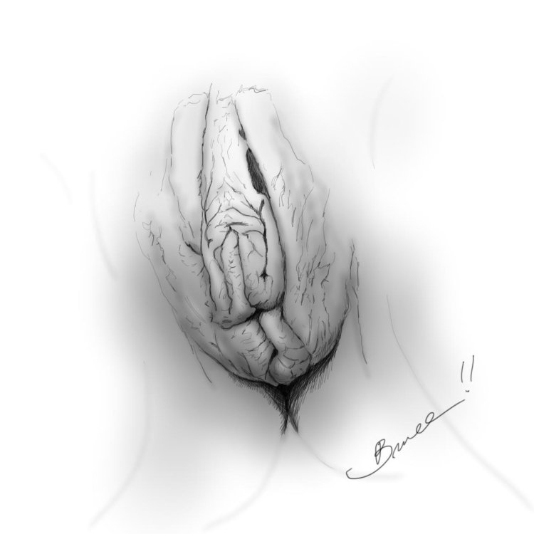 Vagina Picture