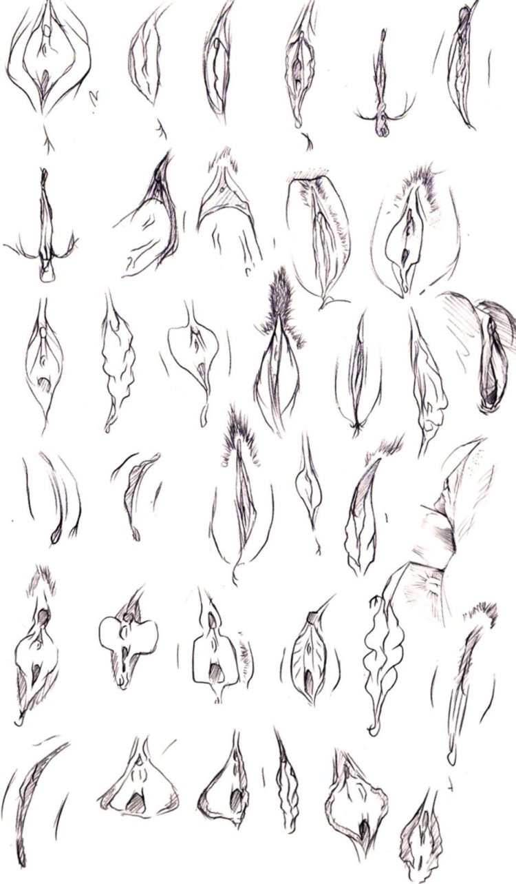 Sketches for drawing hentai