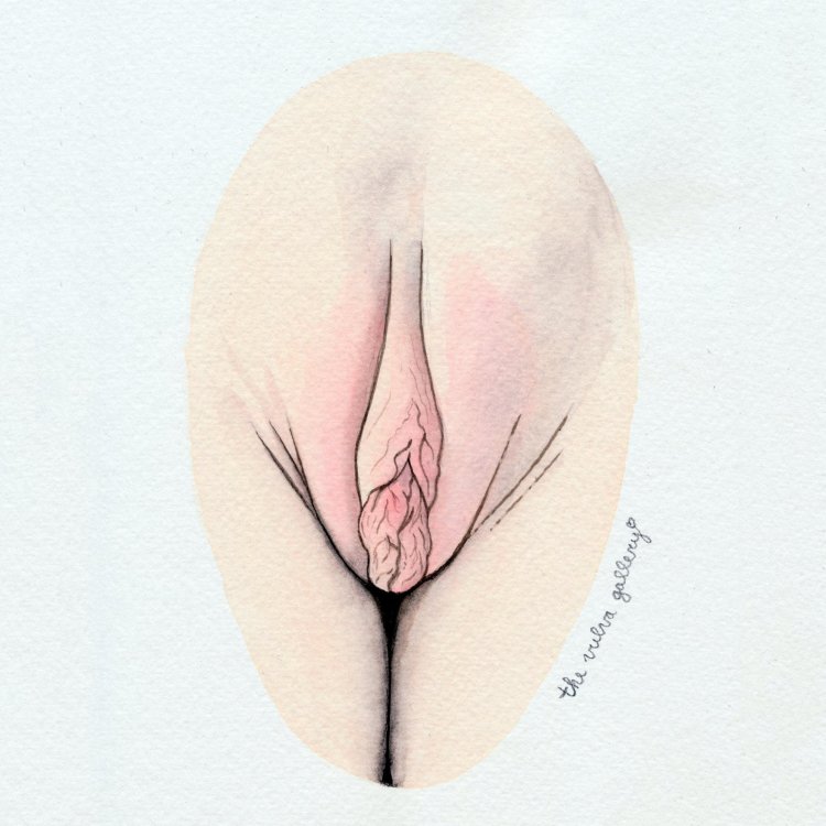 Female vagina