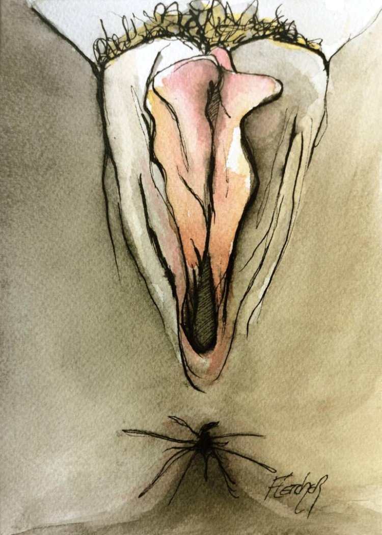 Vulva drawing with a pencil