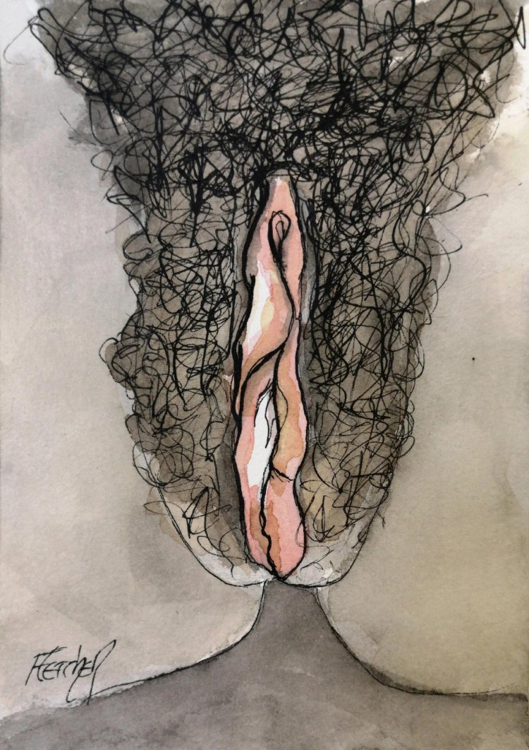 Image Vulva drawing