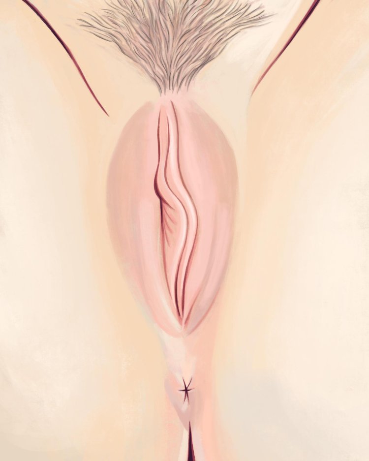 Female intimate plastic