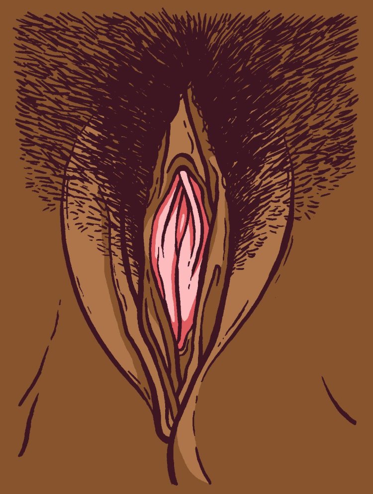 The contemporary art of Vagina