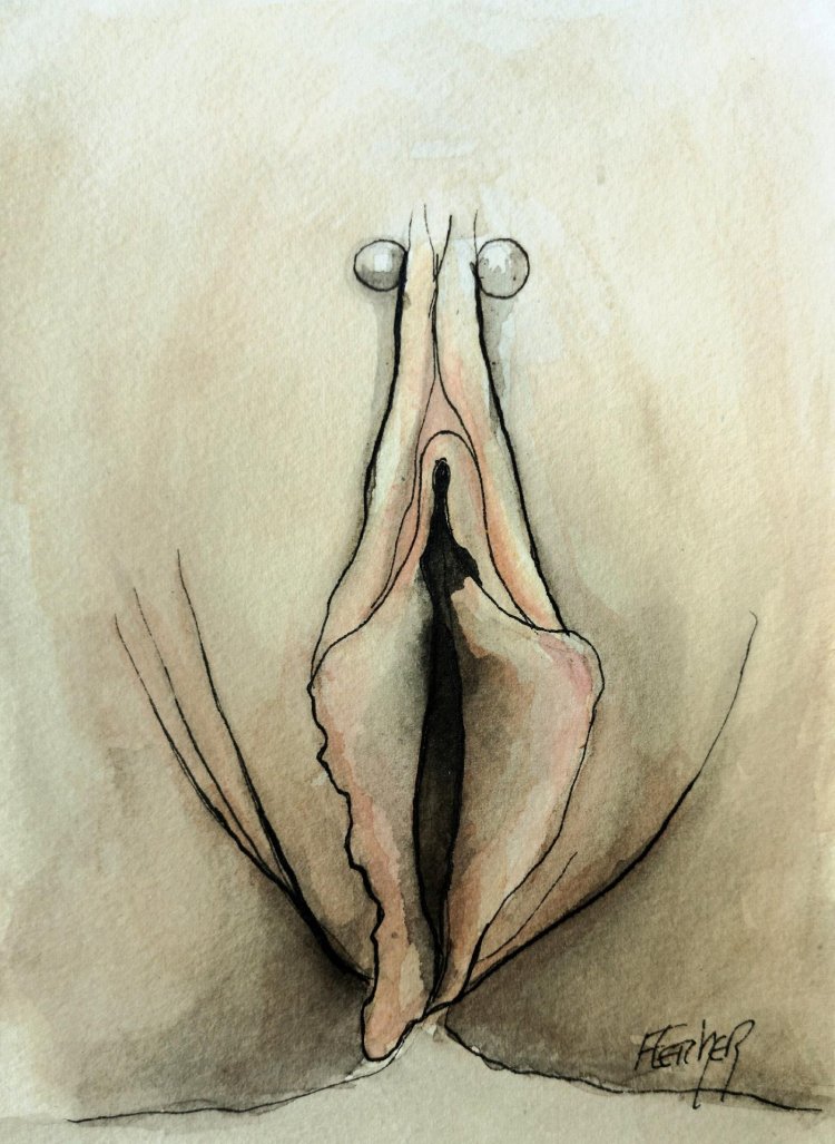 Image Vulva drawing