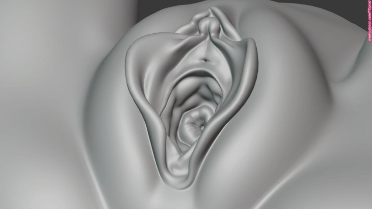 Artistic image of the vagina