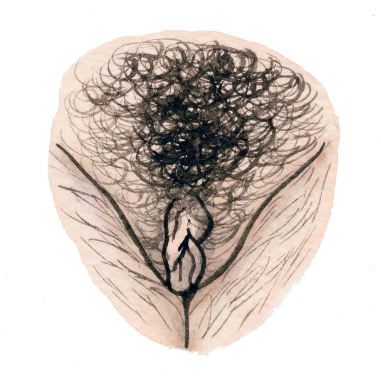 Female pubic hairstyles