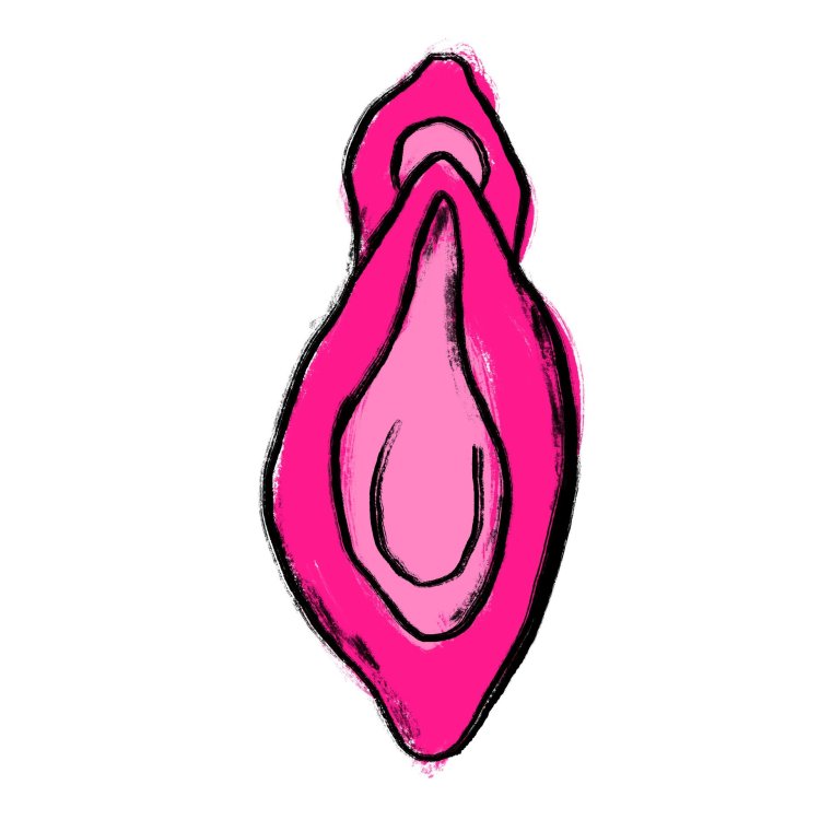 Cartoon vagina