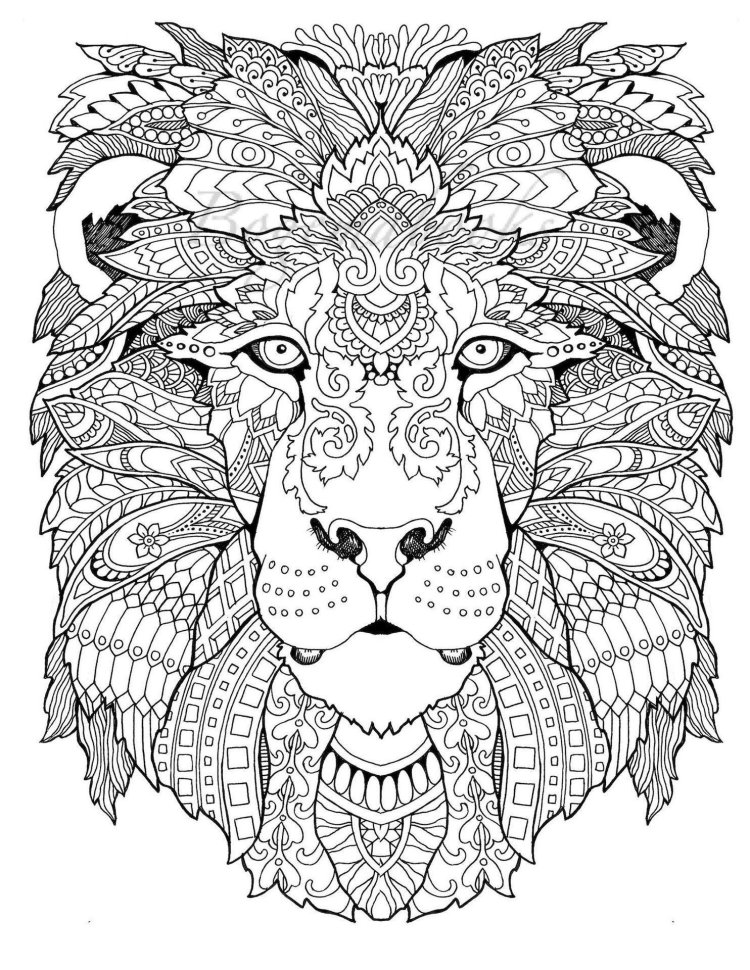 Coloring anti -stress lion