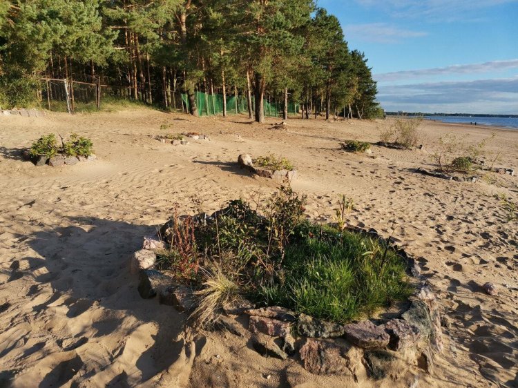 Lipovo Leningrad region Sosnovy Bor